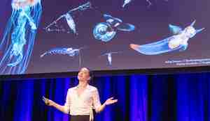 kvinne holder foredrag om planteplankton