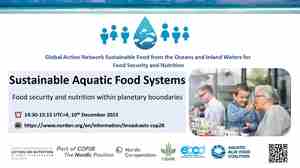 Banner for the COP28 event Sustainable Aquatic Food Systems  
