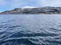 En hvis bøye midt ute på fjorden. Snøkledde fjell i bakgrunnen.
