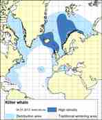 distribution map killer whale