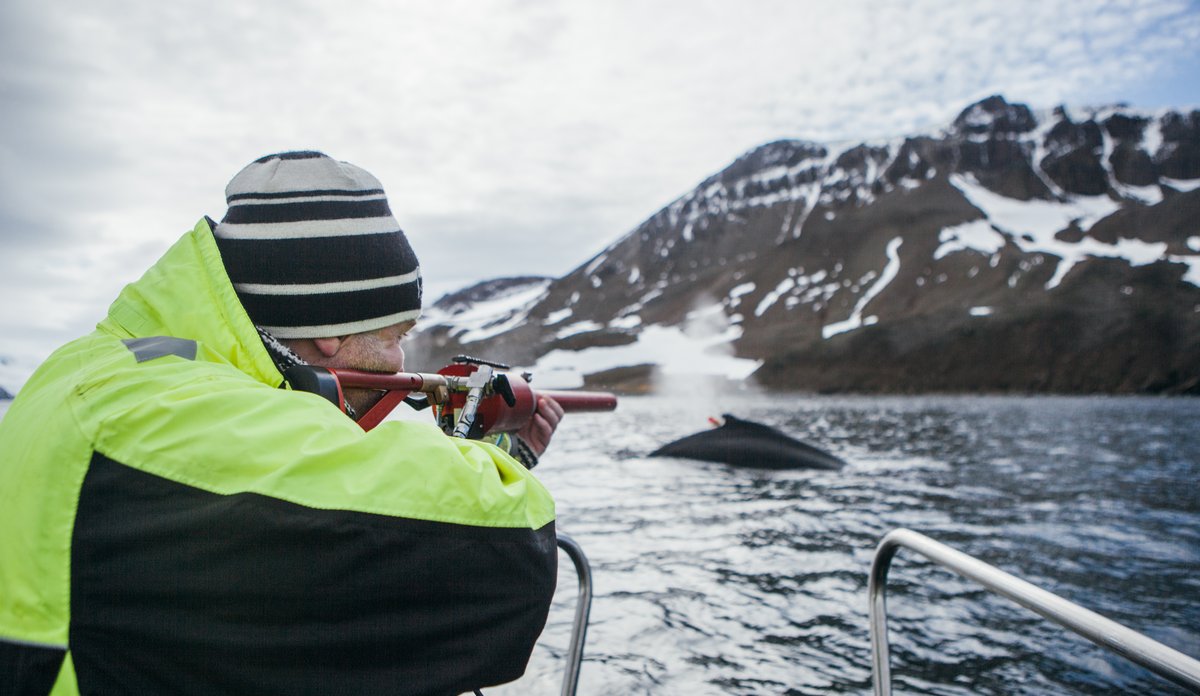 mann skyter mot blåsten av en hval
