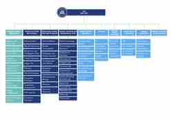 IMR organization