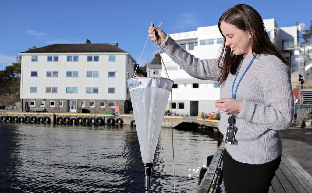 kvinne holder håv stående på kai 