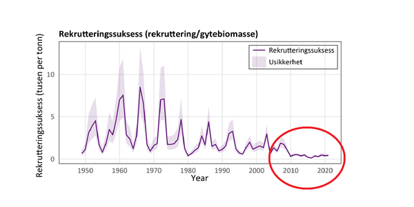 

en figur med lilla strek som går fra 1950 til 2023. Streken går jevnt opp og ned frem til 2010, da synker den.