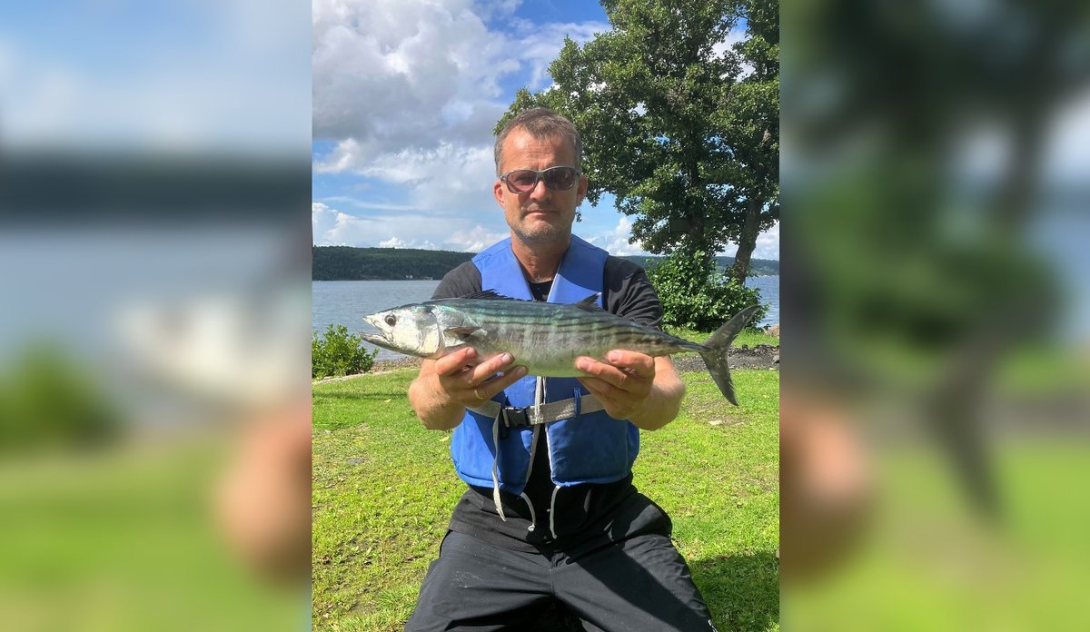 Fritidsfisker Torbjørn Rønning med stripet pelamide.