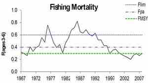 Fiskedodelighet.jpg