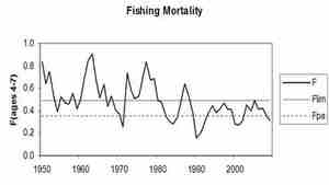Fiskedodelighet_nordostarktisk_hyse.jpg