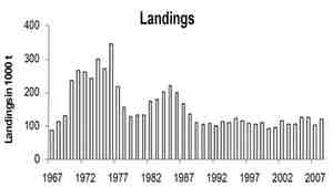 landingar.jpg
