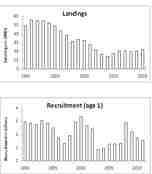 Landingar og rekruttering