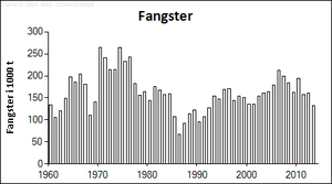 Fangst