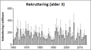 Rekruttering