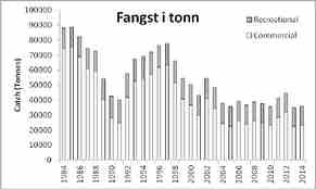 fangst_i-tonn.jpg
