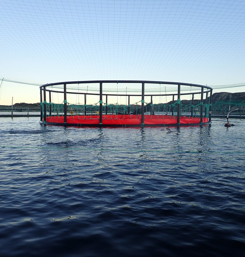 
a7 Well cage