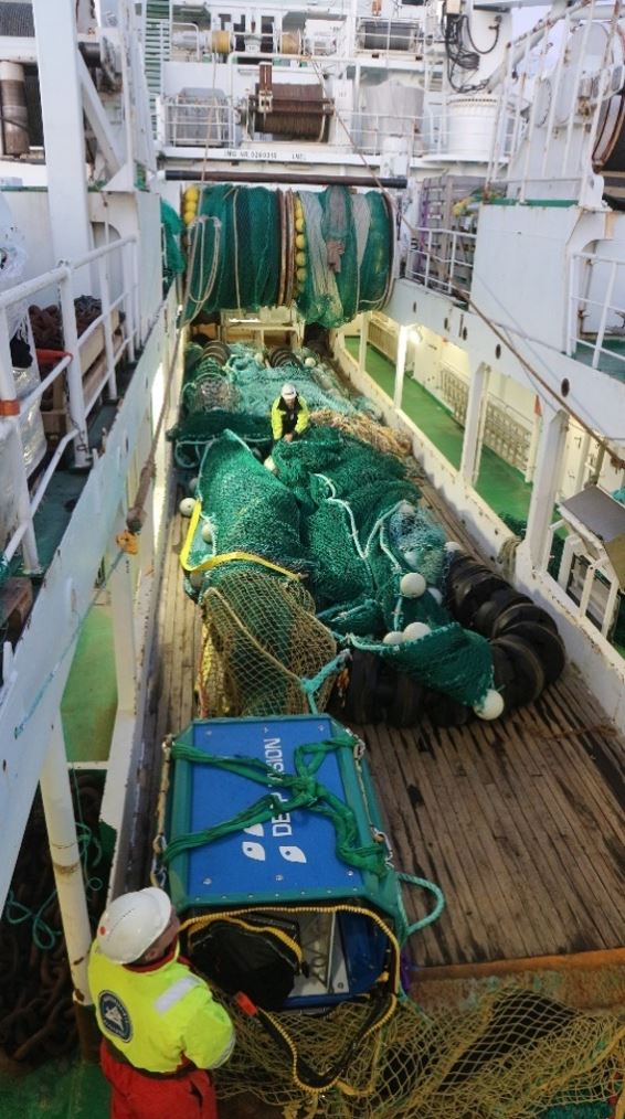 trawl preparing