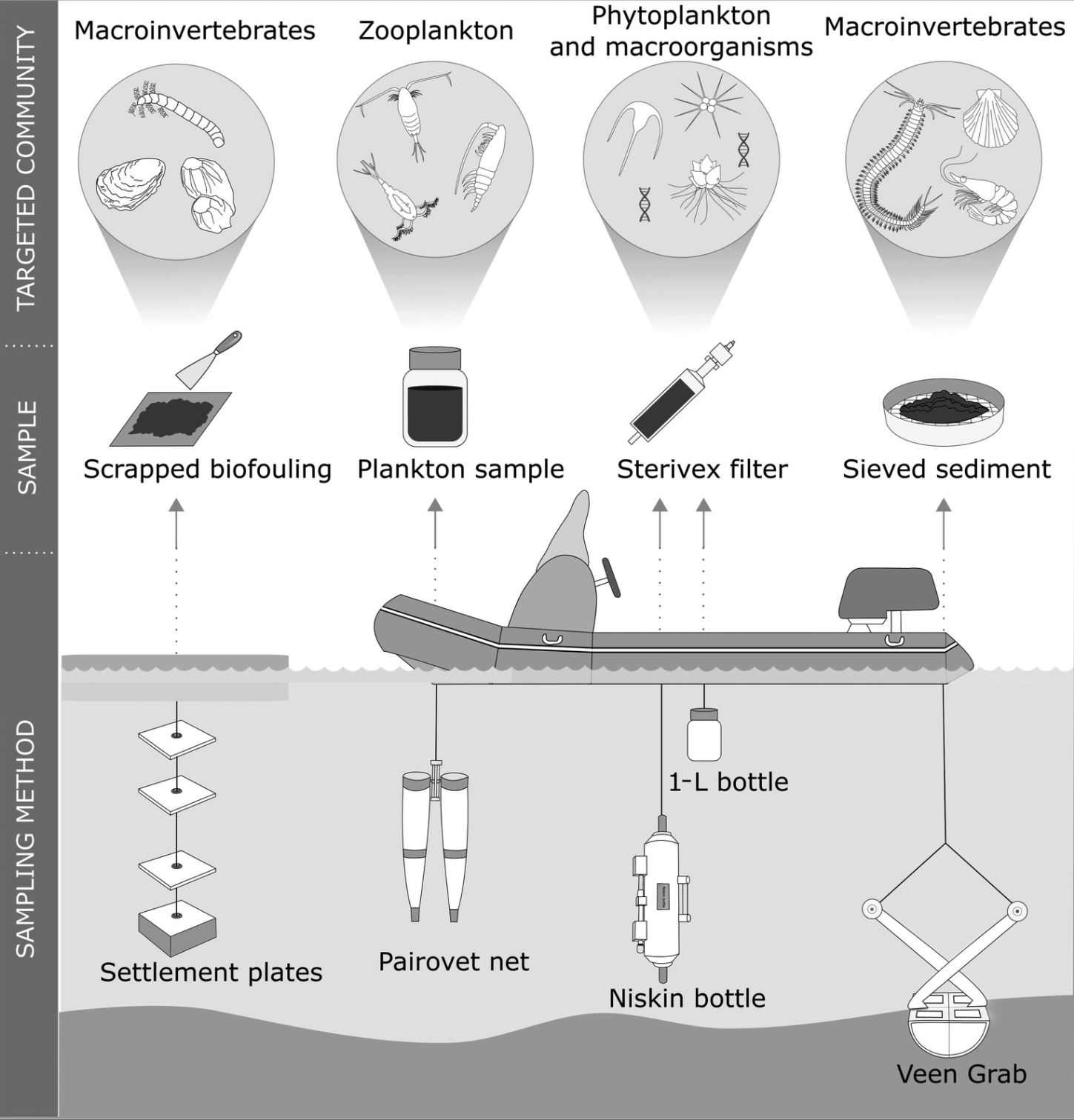 Figur som viser prøvetaking for genetikk for ulike grupper av organismer 
