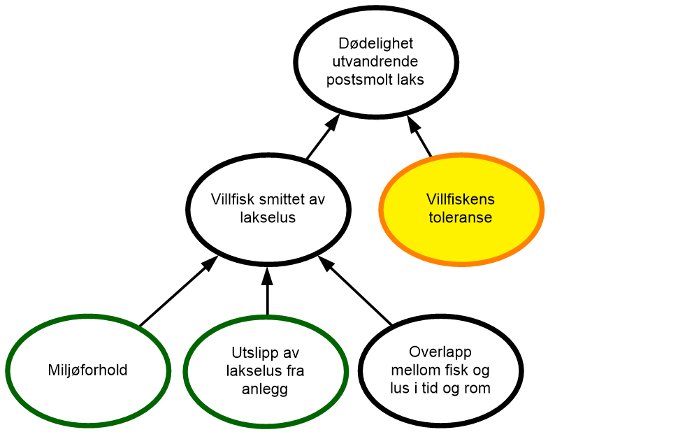 Diagram risikovurdering dødelighet