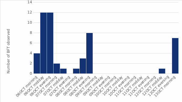 Figure 17. Number of BFT visually observed at sea surface.