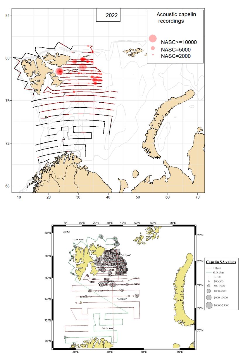 Survey coverage and geographical distribution of acoustic abundance of capelin in autumn 2022, using two different options for scaling of the circles indicating acoustic abundance.