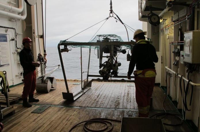 Towed camera system