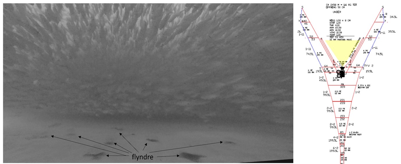 Figur 13. GoPro video fra undertelne, kast 2. Figur til høyre visker kameras plassering og orientering.