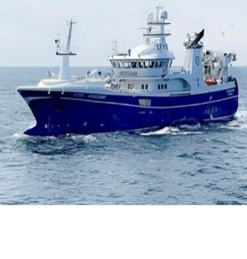 
Vikingbank2