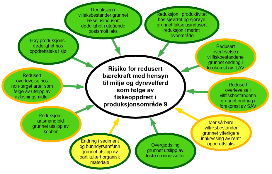 Risikobilde PO9