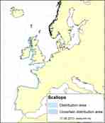 Distribution map scallop
