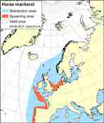 Distribution map horse mackerel
