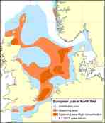 Distribution map plaice