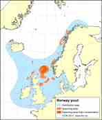 Distribution map norway pout