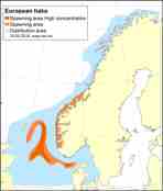 Distribution map - hake