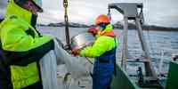 

Figur med kart som viser modellerte drivbanar for mikroplast i Nord-Atlanteren.